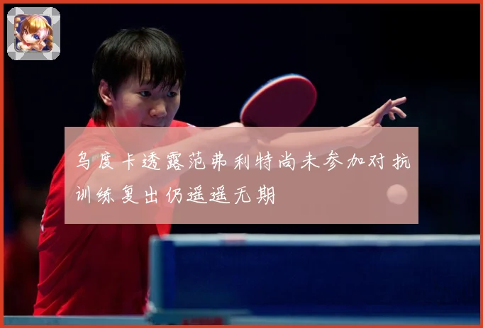 乌度卡透露范弗利特尚未参加对抗训练复出仍遥遥无期