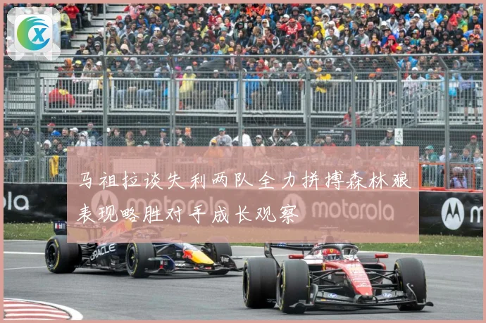马祖拉谈失利两队全力拼搏森林狼表现略胜对手成长观察