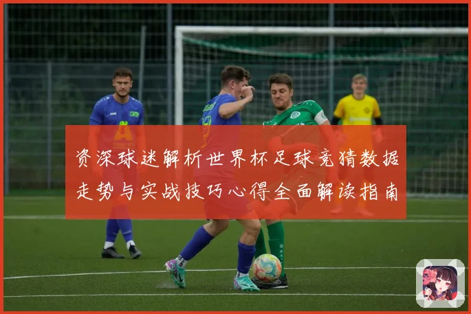 资深球迷解析世界杯足球竞猜数据走势与实战技巧心得全面解读指南
