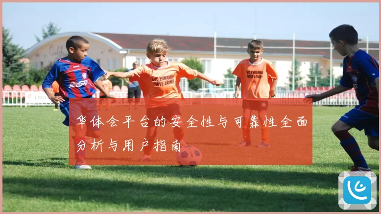 华体会平台的安全性与可靠性全面分析与用户指南