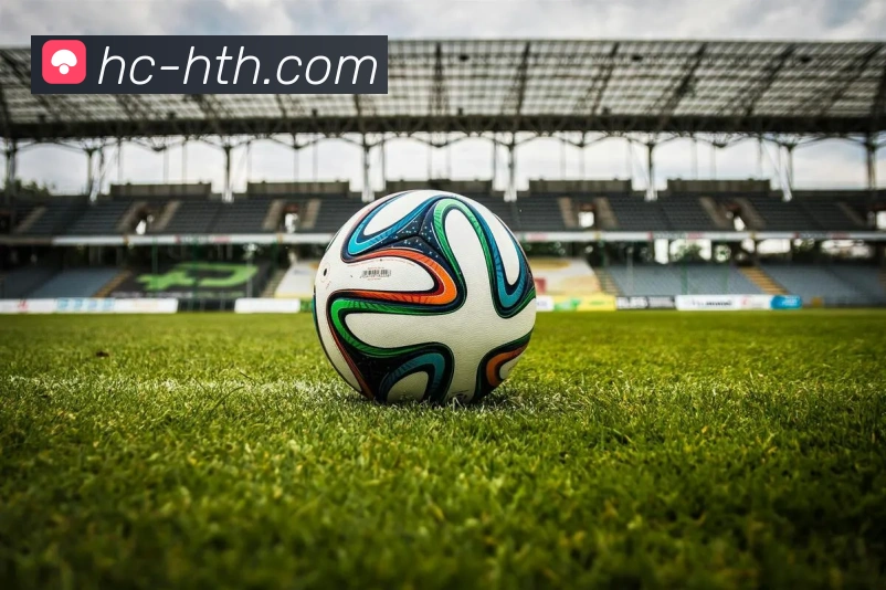 华体会平台展示图